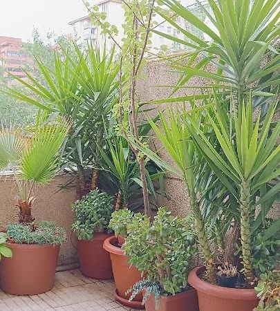 Apartamento Turistico Principe Caceres At-Cc-00415 Касерес Экстерьер фото