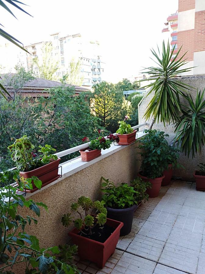Apartamento Principe Касерес Экстерьер фото