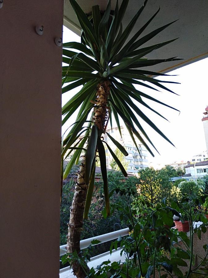 Apartamento Turistico Principe Caceres At-Cc-00415 Касерес Экстерьер фото